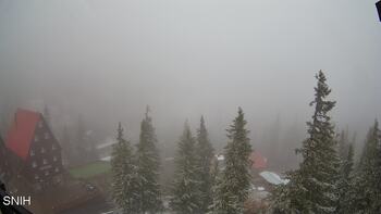 Драгобрат 12 листопада 2025 року, 2025-11-12 16:00