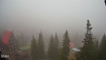 Драгобрат 21 листопада 2025 року, 2025-11-21 13:00