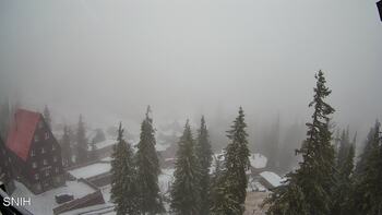 Драгобрат 22 листопада 2025 року, 2025-11-22 10:00