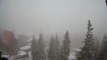 Драгобрат 28 листопада 2025 року, 2025-11-28 10:00