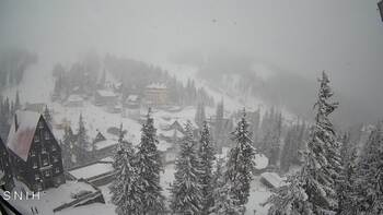 Драгобрат 31 грудня 2025 року, 2025-12-31 10:00