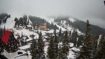 Драгобрат 23 січня 2026 року, 2026-01-23 13:00