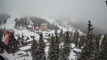 Драгобрат 24 січня 2026 року, 2026-01-24 10:00