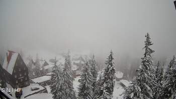 Драгобрат 31 січня 2026 року, 2026-01-31 10:00