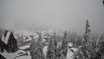 Драгобрат 31 січня 2026 року, 2026-01-31 16:00