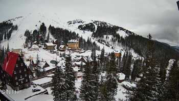 Драгобрат 21 лютого 2026 року, 2026-02-21 10:00