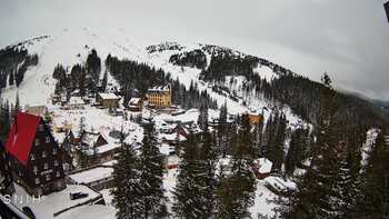 Драгобрат 21 лютого 2026 року, 2026-02-21 13:00