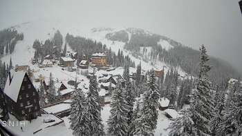 Драгобрат 24 лютого 2026 року, 2026-02-24 10:00