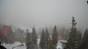 Драгобрат 21 березня 2026 року, 2026-03-21 10:00