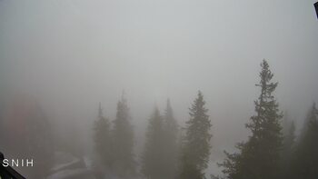 Драгобрат 2 квітня 2026 року, 2026-04-02 16:00