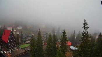 Драгобрат 10 травня 2026 року, 2026-05-10 10:00