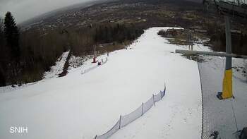 Буковиця 25 лютого 2026 року, 2026-02-25 13:00