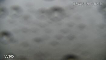 Захар Беркут 9 червня 2024 року, 2024-06-09 16:00