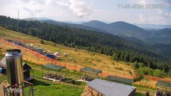 Захар Беркут 11 серпня 2024 року, 2024-08-11 10:00