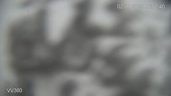 Захар Беркут 2 січня 2025 року, 2025-01-02 16:00