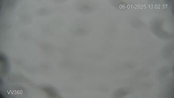 Захар Беркут 6 січня 2025 року, 2025-01-06 13:00