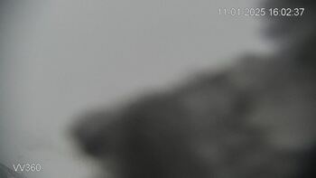 Захар Беркут 11 січня 2025 року, 2025-01-11 16:00