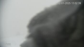 Захар Беркут 12 січня 2025 року, 2025-01-12 13:00