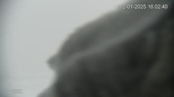 Захар Беркут 12 січня 2025 року, 2025-01-12 16:00