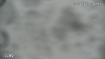 Захар Беркут 28 лютого 2025 року, 2025-02-28 16:00