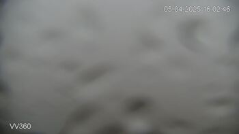 Захар Беркут 5 квітня 2025 року, 2025-04-05 16:00
