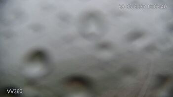 Захар Беркут 29 травня 2025 року, 2025-05-29 16:00
