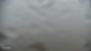 Захар Беркут 16 листопада 2025 року, 2025-11-16 10:00