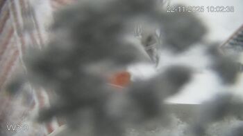 Захар Беркут 22 листопада 2025 року, 2025-11-22 10:00