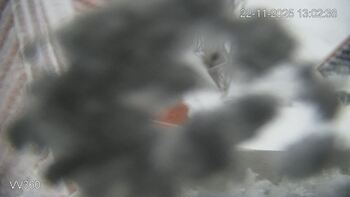 Захар Беркут 22 листопада 2025 року, 2025-11-22 13:00