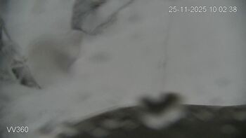 Захар Беркут 25 листопада 2025 року, 2025-11-25 10:00