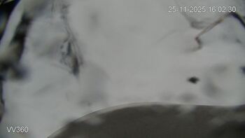 Захар Беркут 25 листопада 2025 року, 2025-11-25 16:00