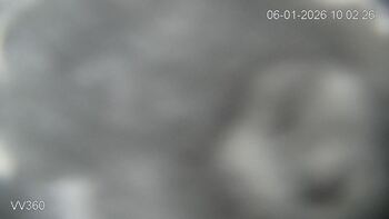 Захар Беркут 6 січня 2026 року 10:00