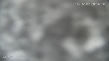 Захар Беркут 11 січня 2026 року, 2026-01-11 10:00