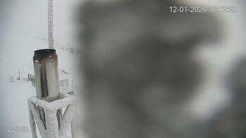 Zachar Berkut 12 styczeń 2026 rok, 2026-01-12 16:00