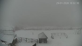 Захар Беркут 29 січня 2026 року, 2026-01-29 16:00