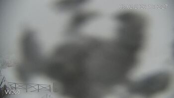 Zakhar Berkut 3 february 2026 year, 2026-02-03 10:00