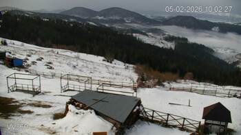 Zakhar Berkut 5 february 2026 year 10:00