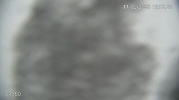 Захар Беркут 11 лютого 2026 року, 2026-02-11 13:00