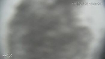 Захар Беркут 11 лютого 2026 року, 2026-02-11 16:00