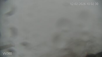 Захар Беркут 12 лютого 2026 року, 2026-02-12 10:00