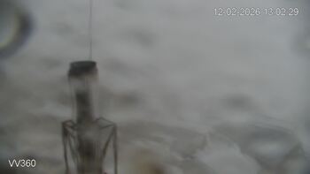 Захар Беркут 12 лютого 2026 року, 2026-02-12 13:00