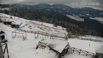 Захар Беркут 19 лютого 2026 року, 2026-02-19 13:00