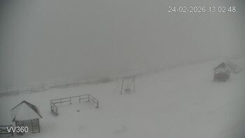 Захар Беркут 24 лютого 2026 року, 2026-02-24 13:00