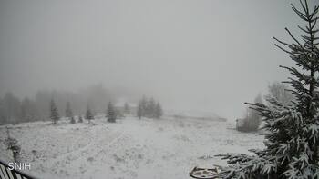 Рахів 23 листопада 2025 року, 2025-11-23 10:00