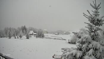 Rachów 28 grudzień 2025 rok, 2025-12-28 16:00