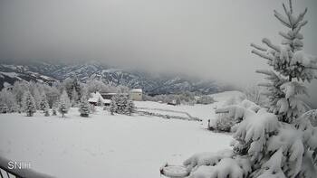 Рахів 29 грудня 2025 року, 2025-12-29 10:00