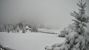 Rachów 29 grudzień 2025 rok, 2025-12-29 16:00