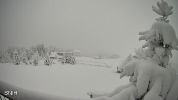 Рахів 31 грудня 2025 року, 2025-12-31 10:00