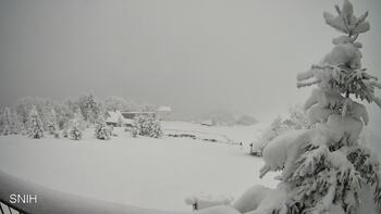 Рахів 31 грудня 2025 року, 2025-12-31 13:00