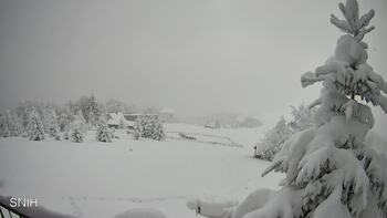 Рахів 31 грудня 2025 року, 2025-12-31 16:00